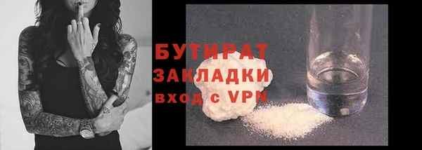 индика Богданович