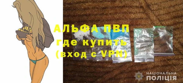индика Богданович