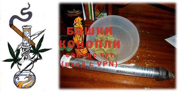 индика Богданович