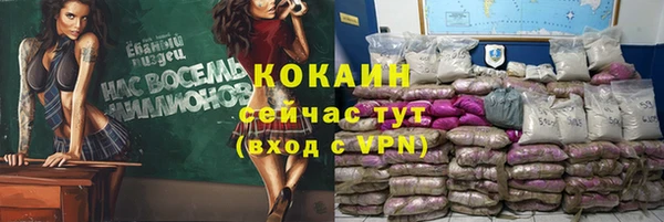 индика Богданович