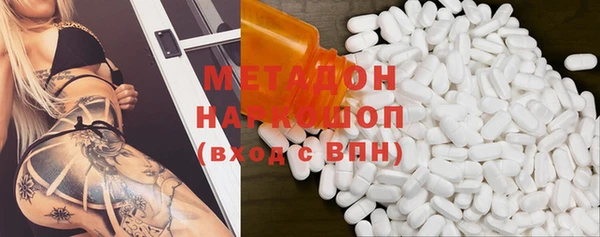 индика Богданович