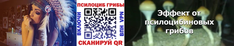 Псилоцибиновые грибы Psilocybine cubensis  Купить закладки  Сим 